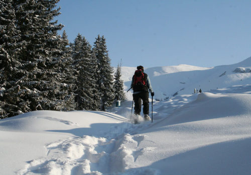 Winter Hiking & Snowshoeing