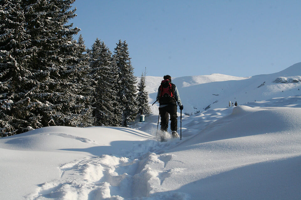 Winter hiking & snowshoeing